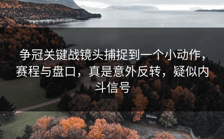 争冠关键战镜头捕捉到一个小动作，赛程与盘口，真是意外反转，疑似内斗信号