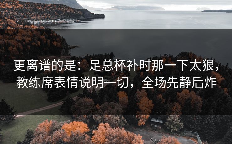 更离谱的是：足总杯补时那一下太狠，教练席表情说明一切，全场先静后炸