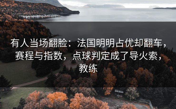 有人当场翻脸：法国明明占优却翻车，赛程与指数，点球判定成了导火索，教练