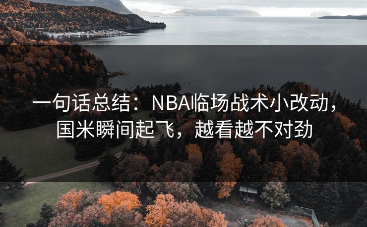 一句话总结:NBA临场战术小改动,国米瞬间起飞,越看越不对劲