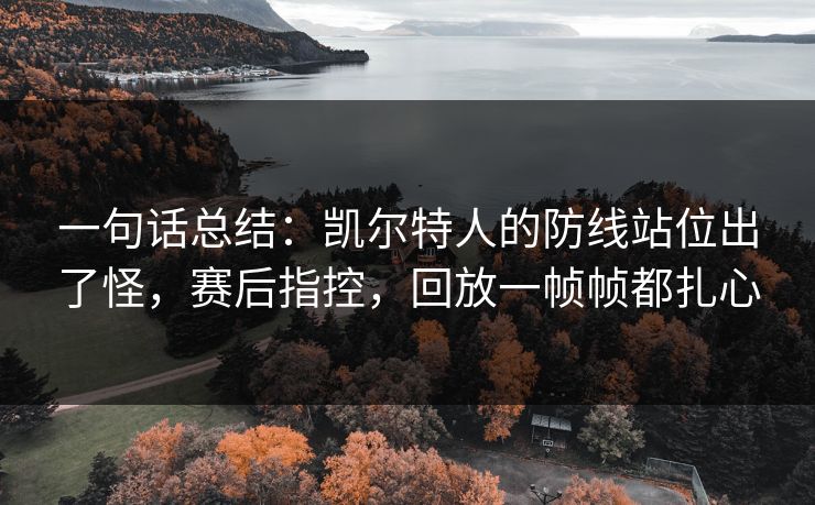 一句话总结：凯尔特人的防线站位出了怪，赛后指控，回放一帧帧都扎心